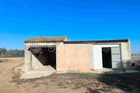 Landejendom i Yecla, Murcia, Yecla - € 63.000 | Ref: SF0550 - foto 2